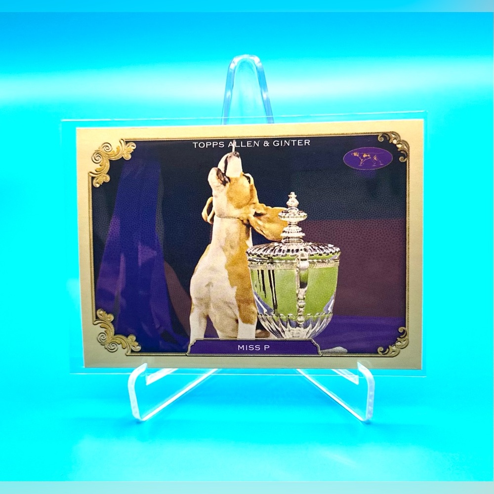 2024 Topps Allen & Ginter Westminster Kennel Club🔥MISS P🔥 #SOS-18